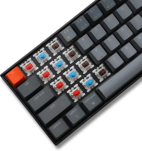 Vista 6 de Keychron Teclado mecánico inalámbrico K6 65 compacto de 68 teclas para Mac retroiluminación blanca intercambiable en caliente Bluetooth multitarea
