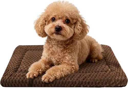 Vista 57 de Tapete para cama de perro, suave y cómodo, para jaula, cama y alfombrilla duradera para perros y gatos, ideal para jaulas, perreras y uso doméstico