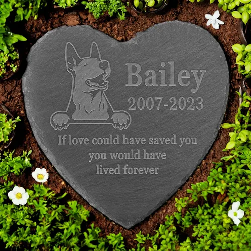 Vista 4 de Memorial personalizado de American Staffordshire Terrier, lápida de American Staffordshire Terrier, condolencias por pérdida de American