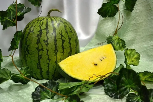 Vista 2 de Semillas Muñeca Amarilla Sandía Heirloom Fruit Non GMO