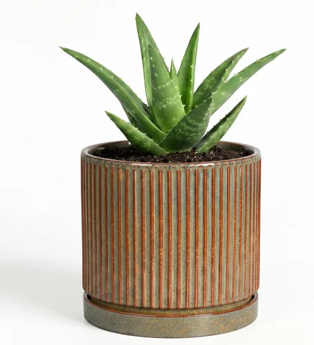 Vista 44 de 8 Inch Flower Pot, Ceramic Planters, Round Plant Pot, Beige