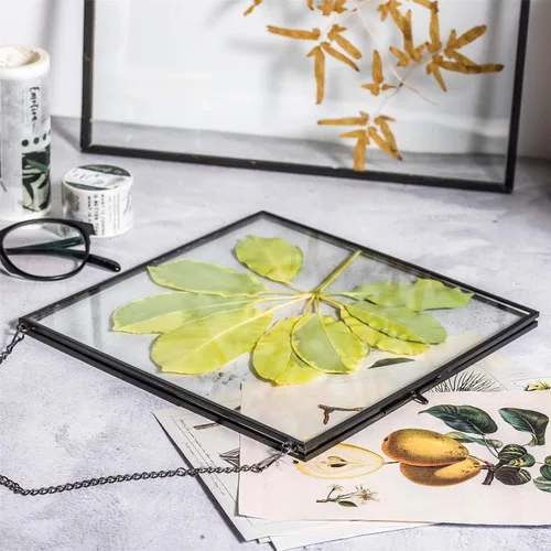 Vista 7 de NCYP Marco flotante de vidrio colgante para flores secas prensadas, fotos, imágenes, especímenes de plantas pequeñas, 8 x 8 pulgadas, negro