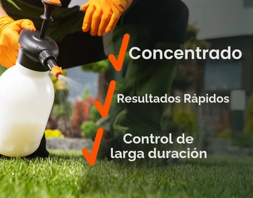 Vista 5 de Pro Brush & Poison Ivy Killer – 32oz – (Comparar con Crossroad) Herbicida concentrado posemergente para plantas leñosas, cepillo y control