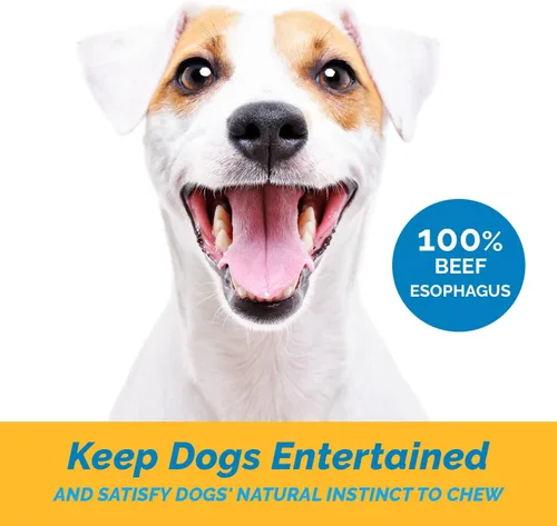 Vista 2 de 123 Treats Golosinas de esófago para perros – (forma libre, 1 libra) 100% naturales, palitos planos para perros, tiras de carne seca para perros