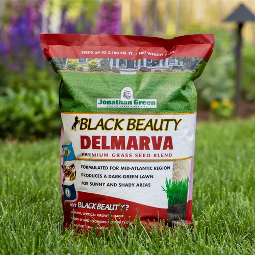 Vista 6 de Jonathan Green Black Beauty Delmarva - Semilla de hierba de 7 libras