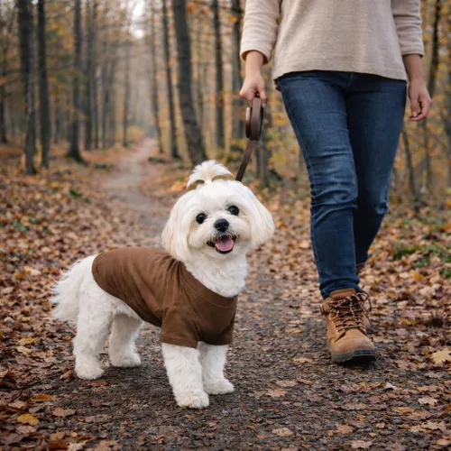 Vista 138 de Lovelonglong 2019 - Ropa para mascotas, Disfraces para Perro, Ropa Camisetas en blanco para Perros Grande Medianos Pequeños 100% Algodón 18