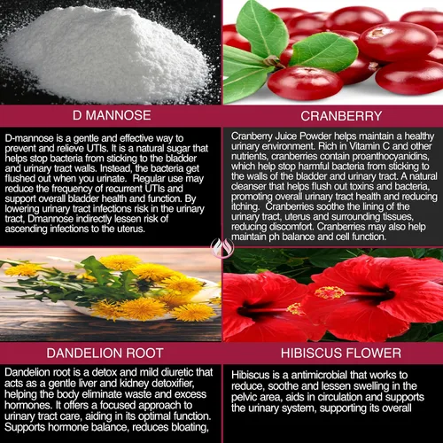 Vista 11 de THE ENCLARE NUTRITION D Manosa con pastillas de arándano, apoyo para la salud del tracto urinario, riñón, vejiga, limpieza del hígado
