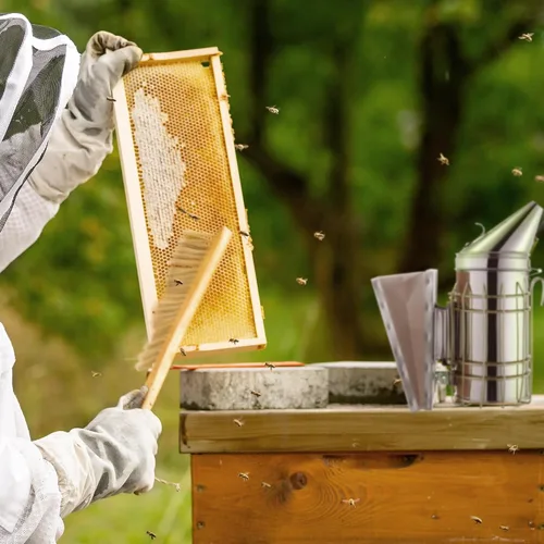 Vista 5 de Honey Keeper Cepillo de colmena de abeja de 14 pulgadas con mango de madera, herramienta de apicultura para apicultores