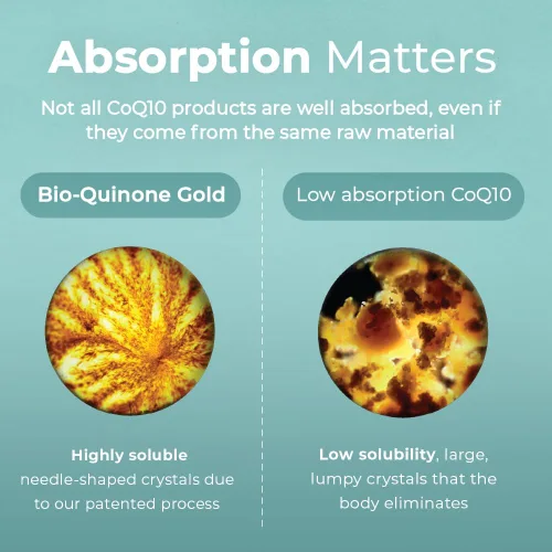 Vista 2 de Pharma Nord Bio-Quinone Gold Coenzima Q10 100mg La CoQ10 Original Alta Absorción, Respaldada por la Investigación Antioxidante Esencial