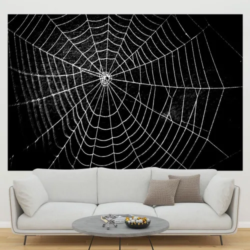 Vista 5 de Lofaris Telón de fondo de fotografía de telaraña, negro puro para niños, decoración de fiesta temática de terror para noche de Halloween, fondo
