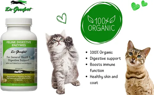 Vista 4 de Dr. Goodpet Enzimas digestivas felinas con probióticos y prebióticos - Polvo de apoyo digestivo diario para gatos - Promueve la digestión del gato