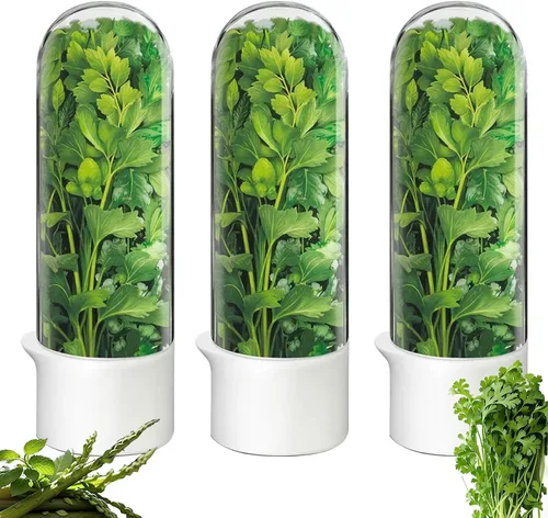 Vista 8 de Protector de hierbas, conservador de hierbas para refrigerador, recipiente de cilantro para refrigerador, hierbas frescas, lechuga, conservación