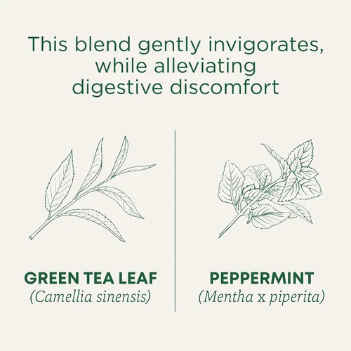 Vista 3 de Traditional Medicinals Organic Té Verde té de hibisco Apoya la salud del corazón, Kosher, sin OMG, sin cafeína