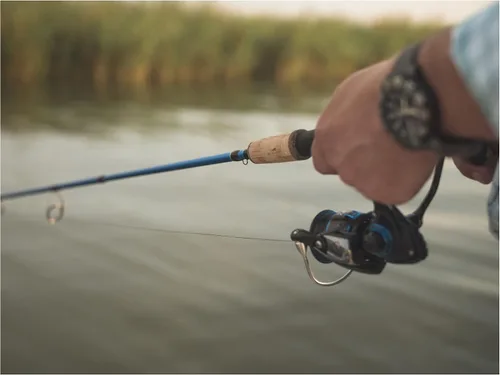 Vista 5 de Temple Fork Outfitters TFO - Cañas de pesca de acción rápida para agua dulce y salada, 3 piezas