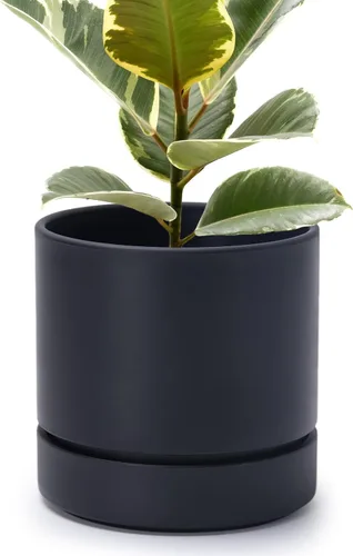 Vista 51 de Phoenix Vine 4 Inch Planter Pot with Drainage Hole & Saucer, Deep Water Catch Tray, Straight Cylindrical Round Pot for Plants, Olive, Pack of 1