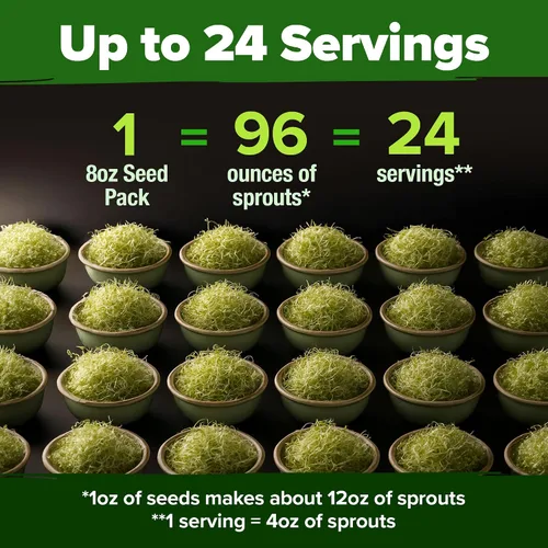 Vista 3 de HOME GROWN Semillas de germinación de alfalfa de 8 onzas sin OMG, procedentes de Estados Unidos, de alta germinación, microverdes de rápido