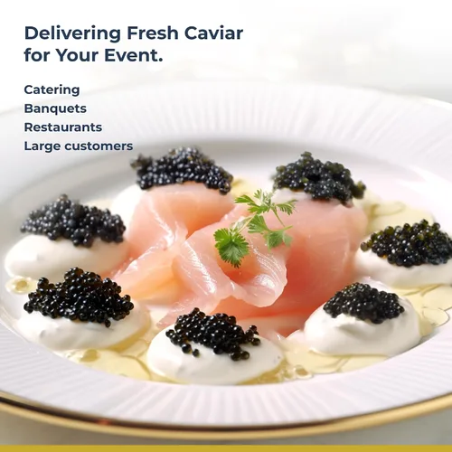 Vista 6 de TSAR CAVIAR Imperial Kaluga Fusion Caviar 3.5 oz (100G) - ENTREGA POR LA NOCHE - Esturión de caviar negro - Huevos de caviar de Osetra salados a