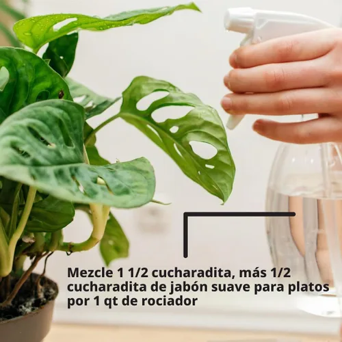 Vista 7 de Aceite de nim para pulimento de hojas, marca Dyna-Gro NEM-008., 8 onzas, Blanco