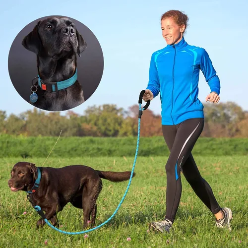 Vista 5 de Ladoogo Correa para perro resistente, mango acolchado cómodo, 5 pies de largo - Correas para perros pequeños, medianos y grandes