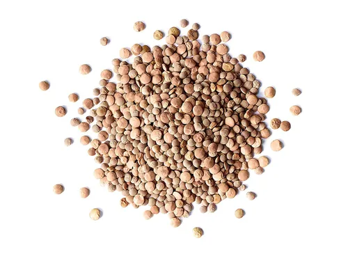 Vista 3 de Food to Live - Lentejas rojas enteras, 1 libra - Frijoles crudos secos, germinables, veganos, kosher, a granel. Fácil de cocinar. Buena fuente