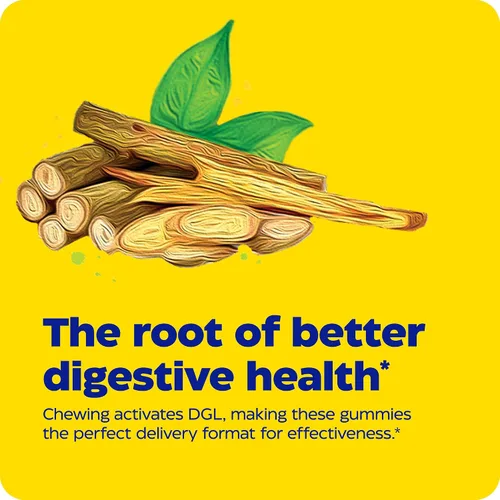 Vista 5 de Enzymedica DGL Suplemento para hombres y mujeres – DGL Gomitas de regaliz deglicirricinadas para apoyo digestivo y salud intestinal, alivia