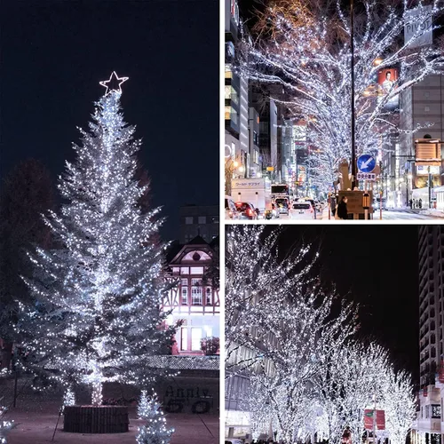 Vista 4 de Guirnalda de 200 luces LED de 66 pies con mando a distancia, luz Caliente a frío