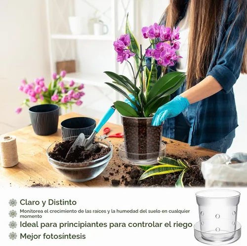 Vista 4 de Baderke 1 maceta de orquídeas con agujeros de drenaje y bandeja de cristal transparente para orquídeas, trasplante de flores, jarrón de vidrio