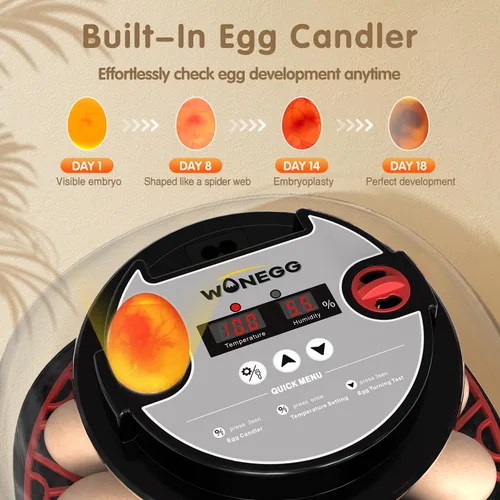 Vista 4 de Incubadoras para huevos para incubar huevos, 12 huevos con giro automático de huevos y control de humedad, visualización de 360° para pollo, patos