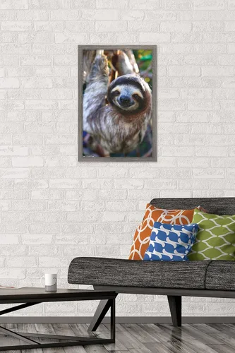 Vista 2 de Trends International Póster de pared de perezoso - Sonrisa, 14.725 x 22.375 pulgadas, versión enmarcada de madera de granero