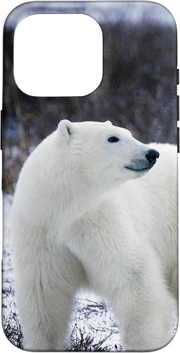 Vista 20 de Polar Bears Animal Nature Case for iPhone 17