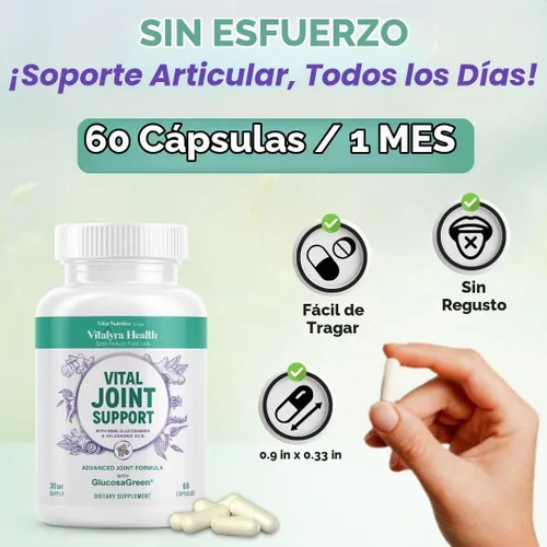 Vista 6 de VITAL NUTRITIVE Suplemento de apoyo articular para hombres y mujeres, glucosamina, MSM