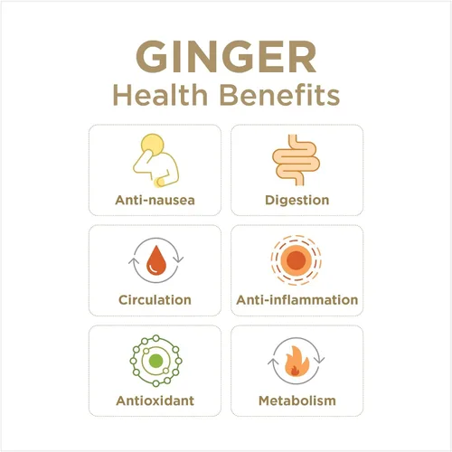Vista 5 de GIN GINS - Caramelo duro de jengibre de doble fuerza por The Ginger People – Anti-náuseas y ayuda a la digestión, caramelo saludable envuelto