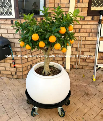 Vista 6 de Organizador de macetas con ruedas (capacidad de 430 libras), soporte de metal resistente con ruedas de freno, bandeja para plantas para interiores
