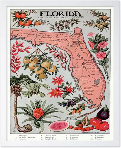 Vista 54 de Monem Art Mapa Monumental Vintage de Florencia Impresión - Póster de Viaje Retro - Arte de Italia - Gran Regalo para Hombres, Mujeres, Amantes