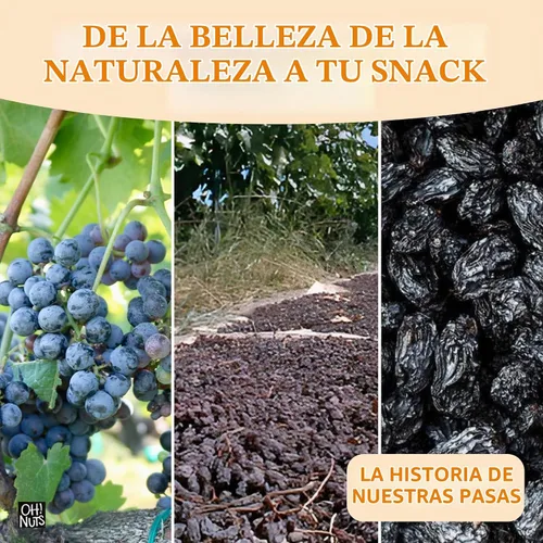 Vista 6 de Nueces jugosas pasas negras, frutas secas, sin azúcar añadido, bocadillos
