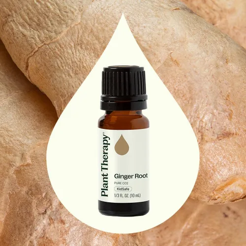 Vista 4 de Terapia herbolaria, raíz de jengibre Extracto de CO2. 100% puros, sin diluir, grado terapéutico. 1/3 oz. Aceite de jengibre puro y sin diluir