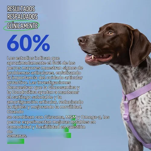 Vista 4 de Masticables de cadera y articulaciones para perros - Glucosamina
