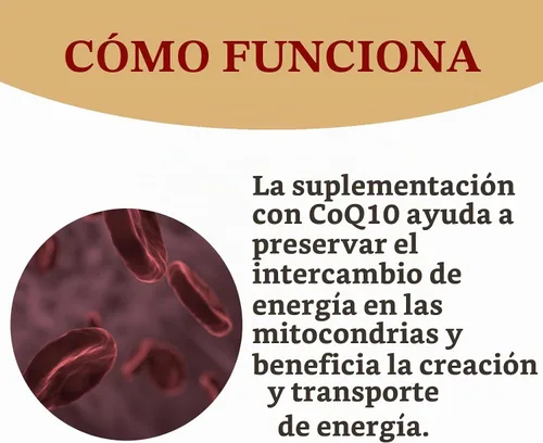 Vista 4 de CoQ10 300mg - 120 cápsulas - Alta absorción - Sin OMG - Sin gluten - Coenzima Q10 - Cápsulas CoQ10