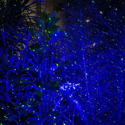 Vista 3 de Luces de jardín Firefly Proyector de estrellas con nebulosa azul Iluminación decorativa para exteriores