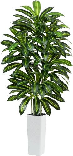 Vista 15 de Árbol de Dracaena artificial rojo de 6 pies, plantas falsas altas Hoja blanco-roja