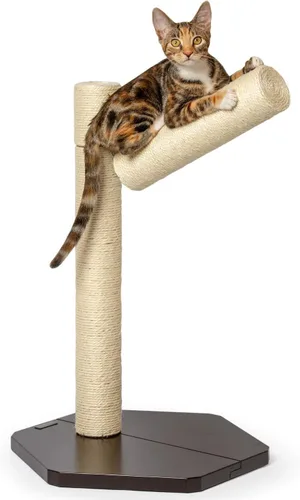Vista 4 de PetFusion Poste de repuesto para percha de escalada para ventana de gato (1 de 3) para percha de ventana de gato Elevated feline lounging support