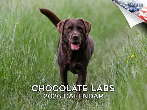 Vista 160 de Calendario de Lebrel Afgano 2025 2026, calendario mensual de pared de raza canina, 12" x 18" abierto, papel grueso sin traspaso, ideal para regalo