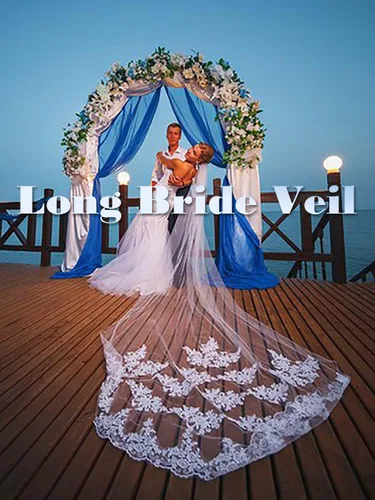 Vista 6 de Aiosy - Velo de novia con bordado, borde de encaje, con peine, longitud catedral, accesorios para el cabello