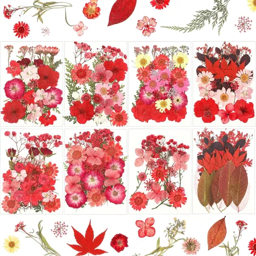 Vista 8 de Nuanchu 200 piezas de flores secas prensadas para resina, flores naturales prensadas reales, hojas a granel para manualidades, manualidades, arte