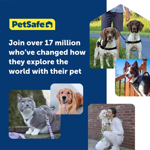 Vista 7 de PetSafe Easy Walk Deluxe Arnés para Perros, Arnés para Perros Sin Tirones – Perfecto para Entrenamiento con Correa y Arnés – Evita que las Mascotas