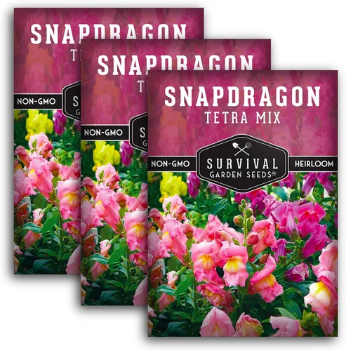 Vista 11 de Survival Garden Seeds - Semillas de mezcla de tetra Snapdragon para plantar - Paquete con instrucciones para plantar y cultivar hermosas flores