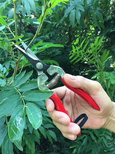Vista 5 de gonicc Tijera de poda profesional de micropunta (GPPS-1008), podadora y tijeras de mano de jardín pequeñas para arreglar flores, recortar plantas