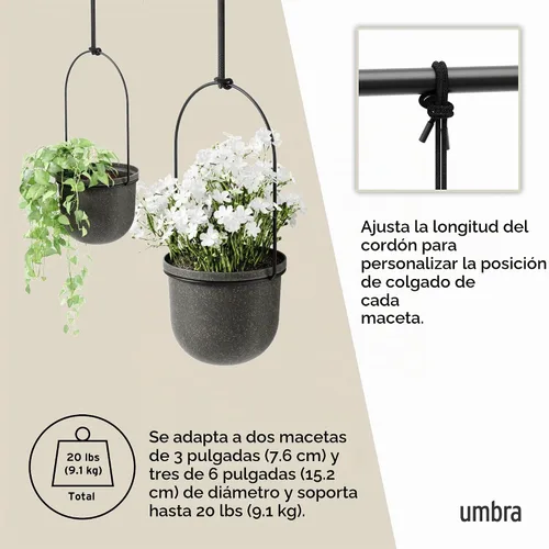 Vista 5 de Umbra Triflora - Maceta colgante para ventana, jardín de hierbas de interior, juego de 5, color negro