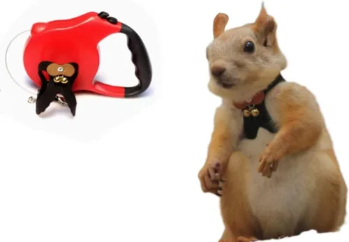 Vista 6 de Correa de cuerda de tracción de ardilla, cuerda de cadena antimordeduras, arnés para caminar pequeños animales con correa extensible para hámster