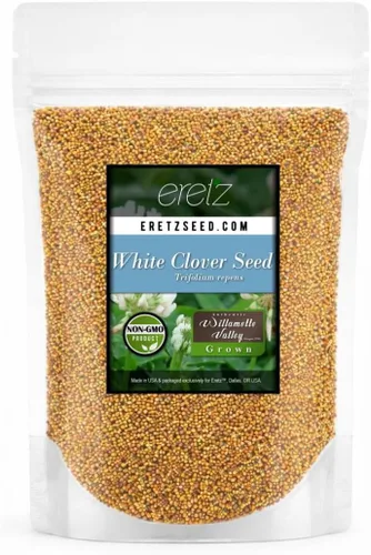 Vista 6 de Semillas de trébol blanco - Semillas prémium de Willamette Valley, cultivadas en Oregon, sin recubrimientos, sin semillas de malas hierbas (1 libra)